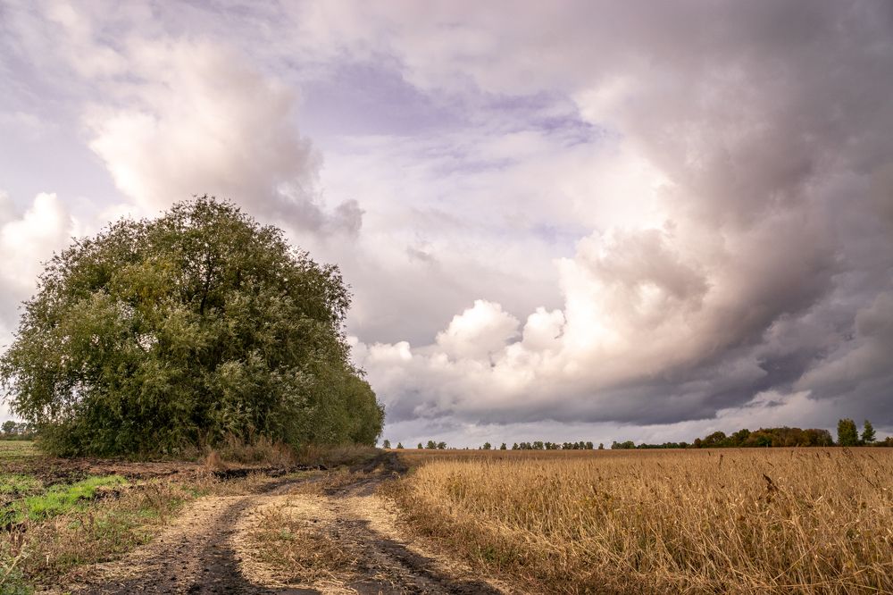 Photograph by Pavel Gusev