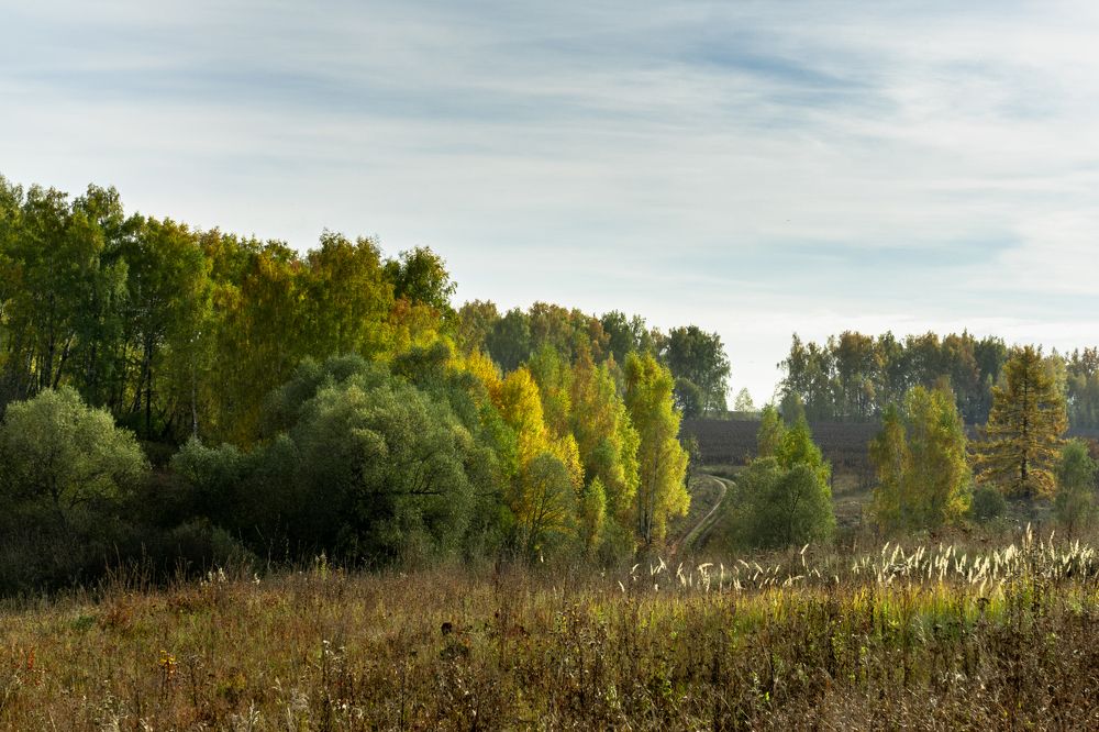 Photograph by Pavel Gusev