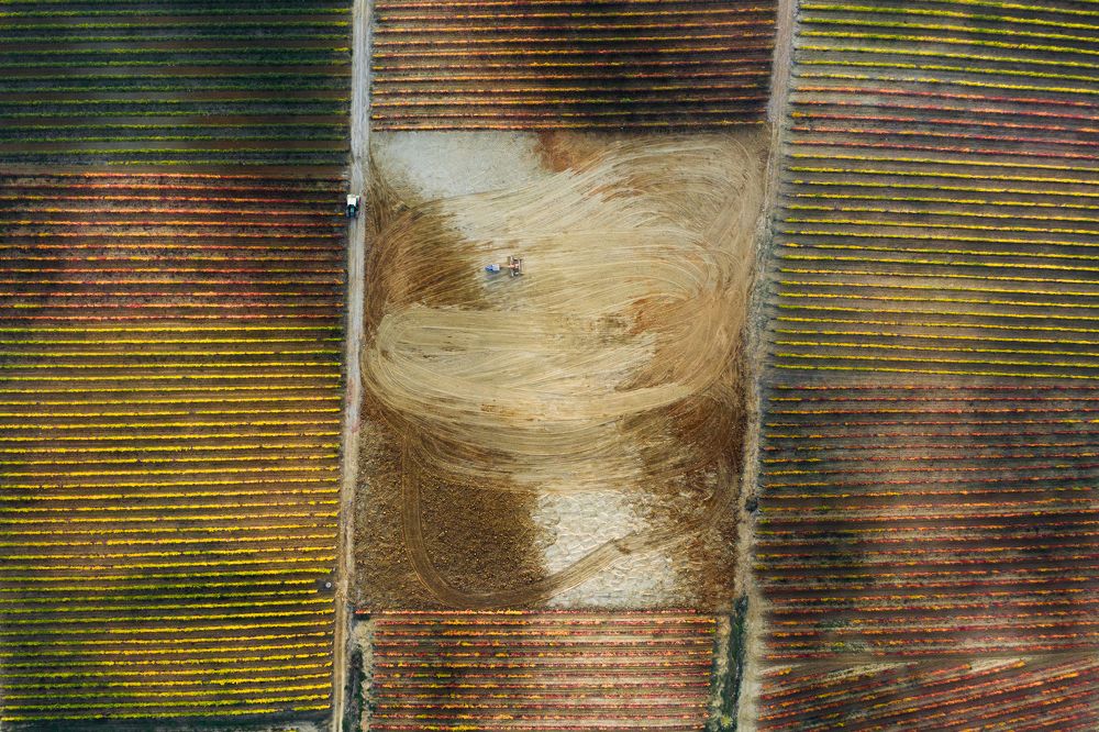 Photograph by Tiago Marques