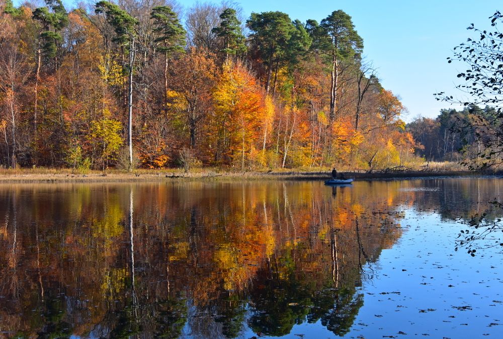 Photograph by Ирина Алексеева