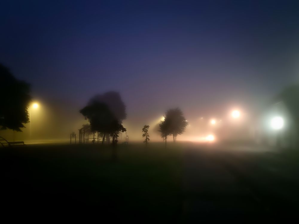 Photograph by Sandor Zoltan Gal