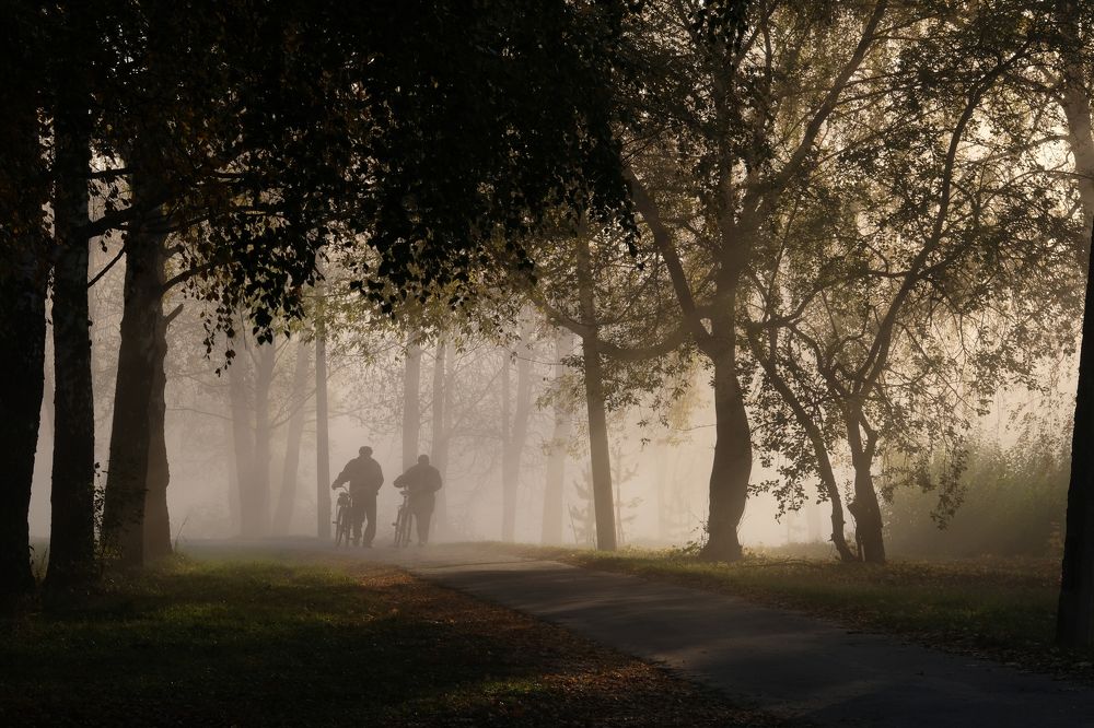 Фотография автора Александр Высоцкий