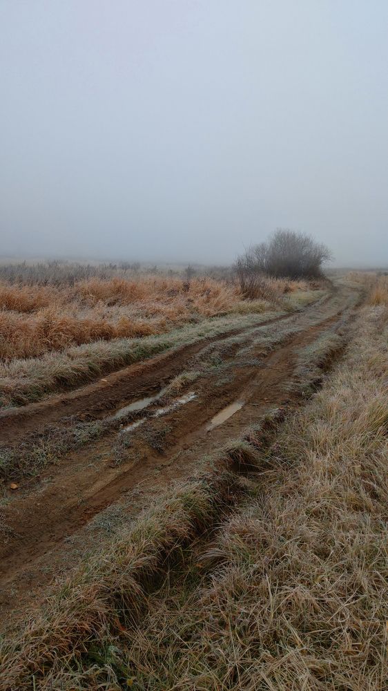 Photograph by Юлия Зуева