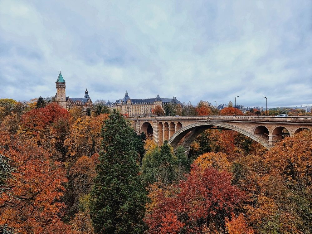 Photograph by Юлия Борт