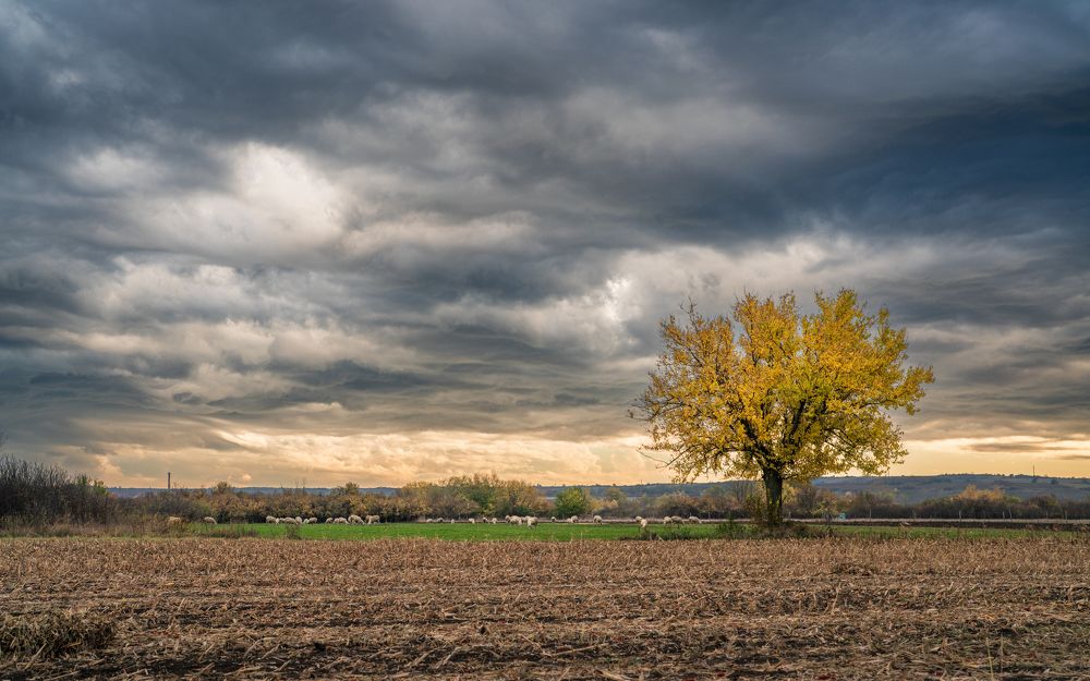 Waiting for the autumn storm