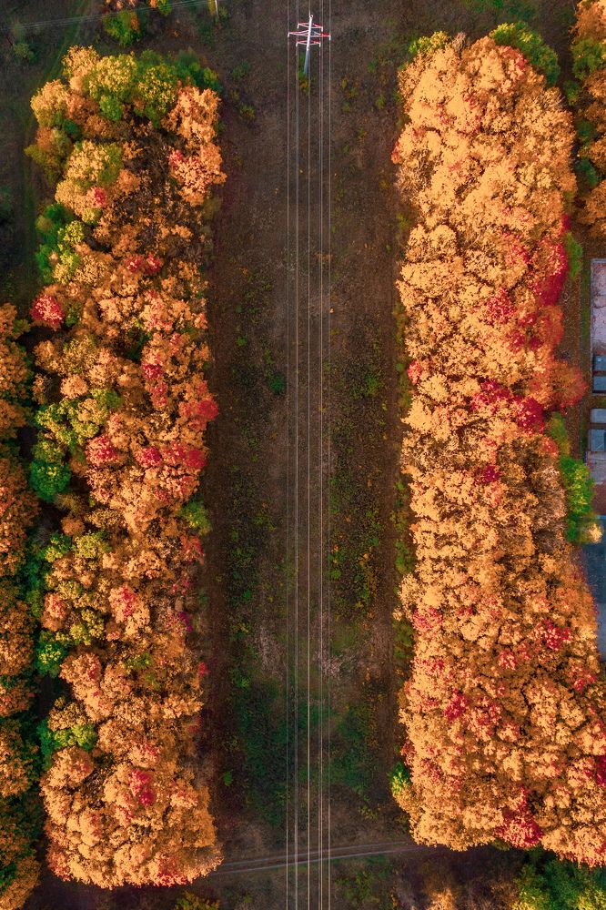 Photograph by Сергей Морозов