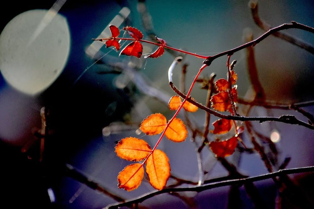 Photograph by Римма Быбина