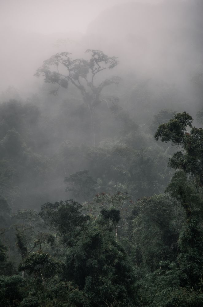 Photograph by Игорь