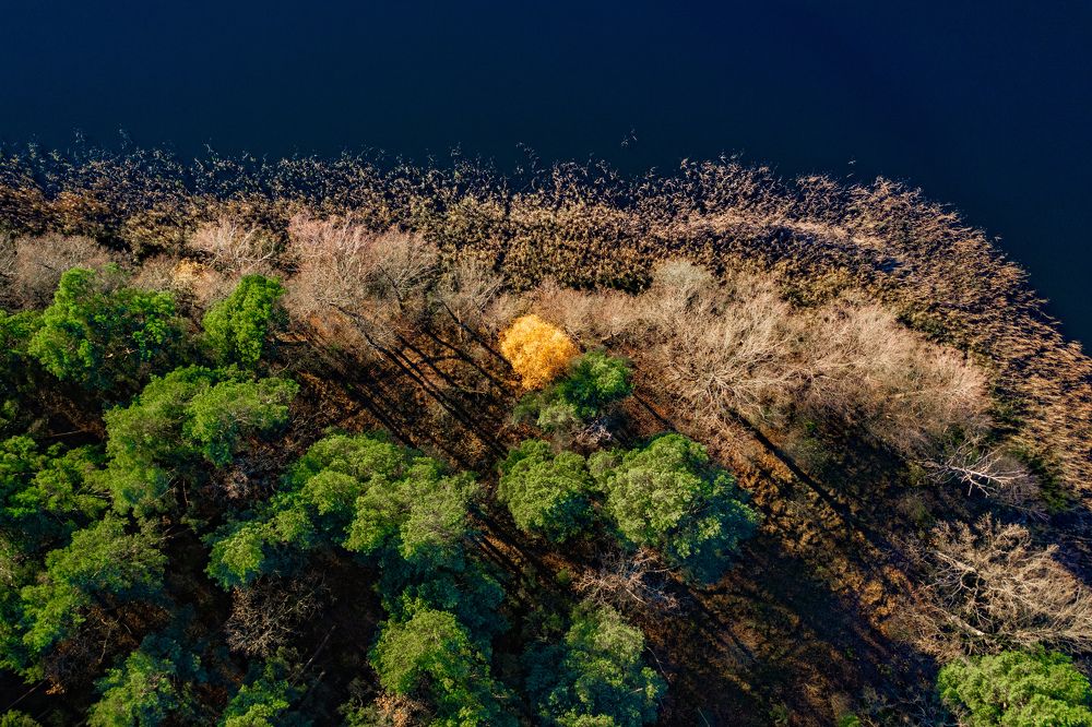 Photograph by Сергей Морозов