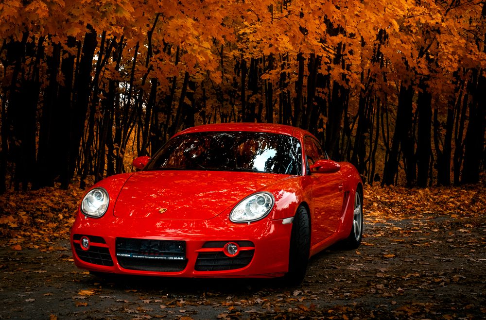 Photograph by Алексей Ставрович