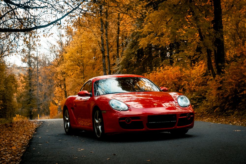 Photograph by Алексей Ставрович