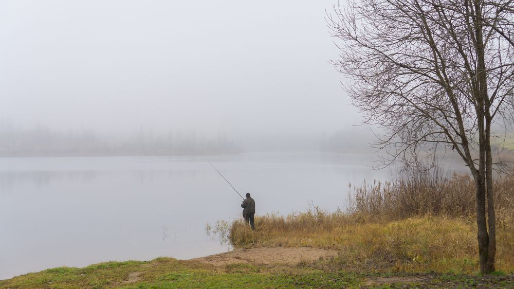 Photograph by Алексей Орнатский