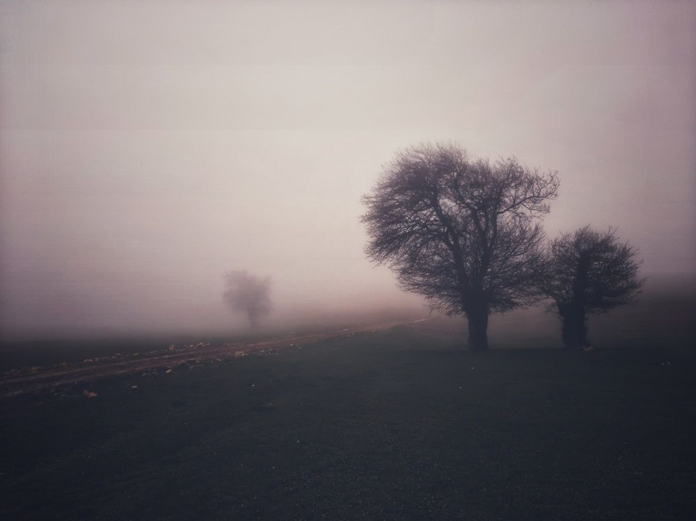 Photograph by Alborz Z