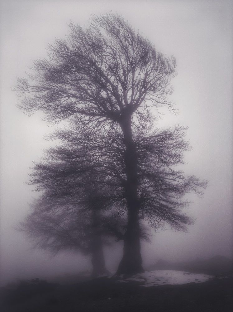 Photograph by Alborz Z