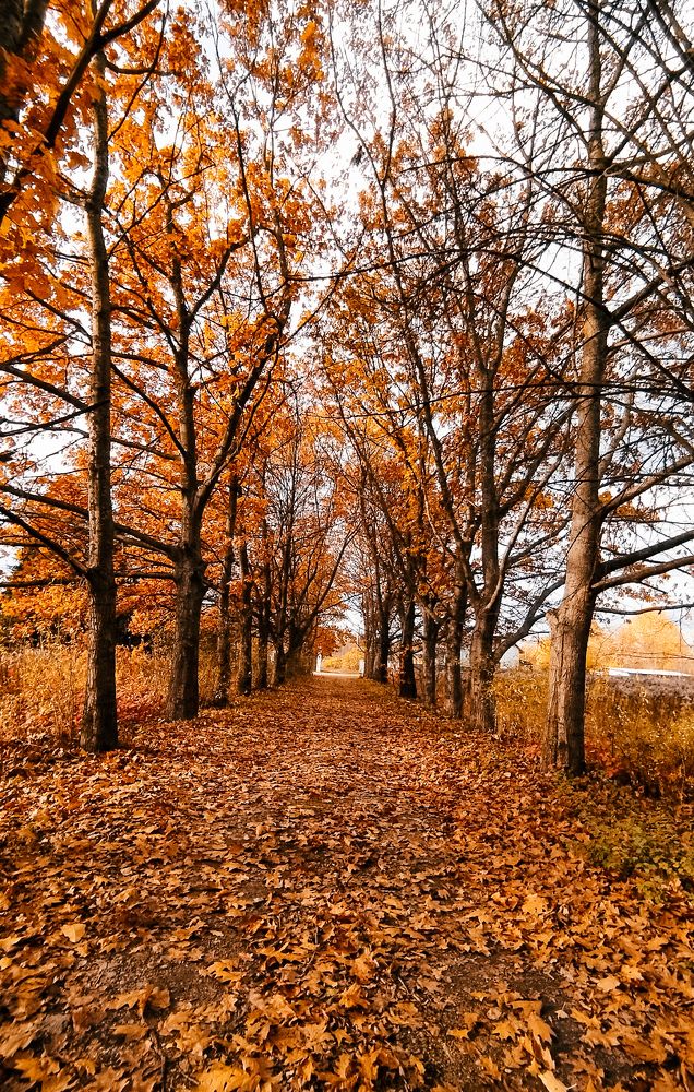 Photograph by Олеся Бронзова