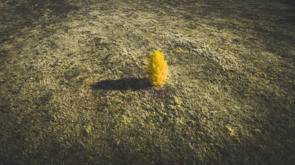 Photograph by Александр Давидик