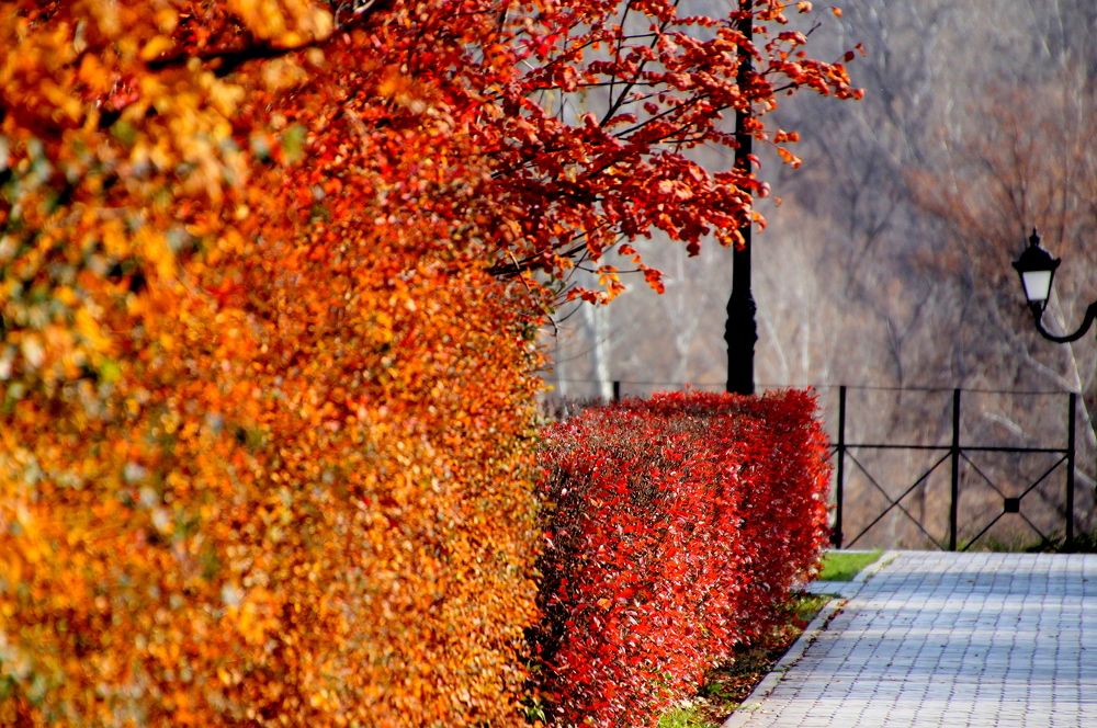 Photograph by Жанна Валиева