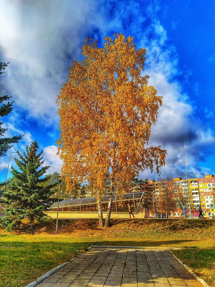 Photograph by Олеся Бронзова