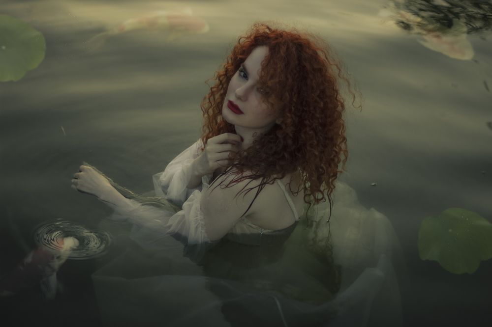 Photograph by armin rastegar