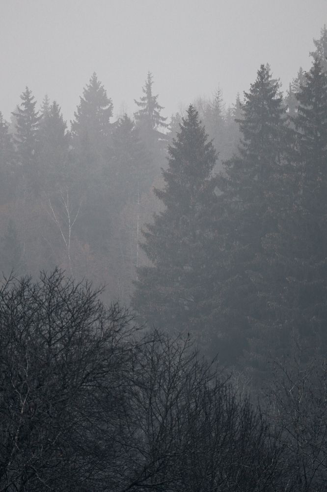 Photograph by Тимофей Стрельцов