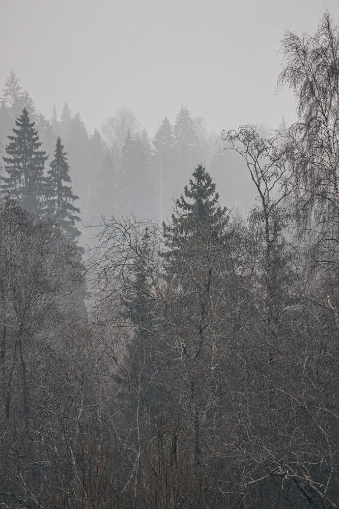 Photograph by Тимофей Стрельцов