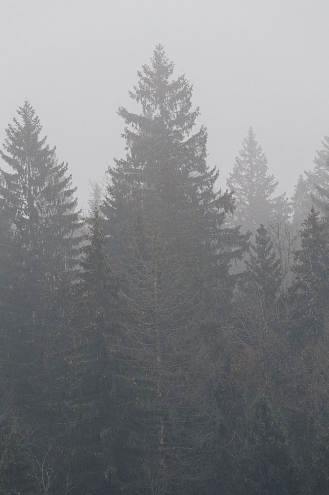 Photograph by Тимофей Стрельцов