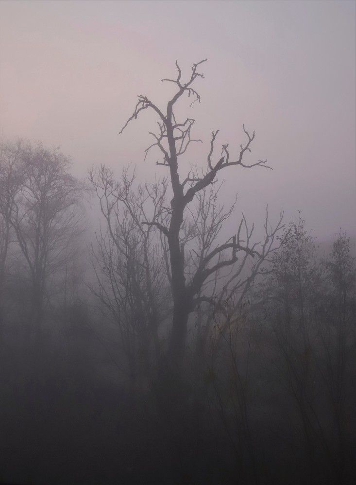 Photograph by Андрей Телибаев