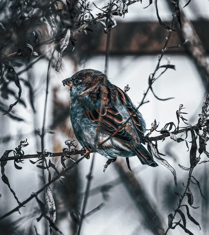 Photograph by Тимофей Стрельцов