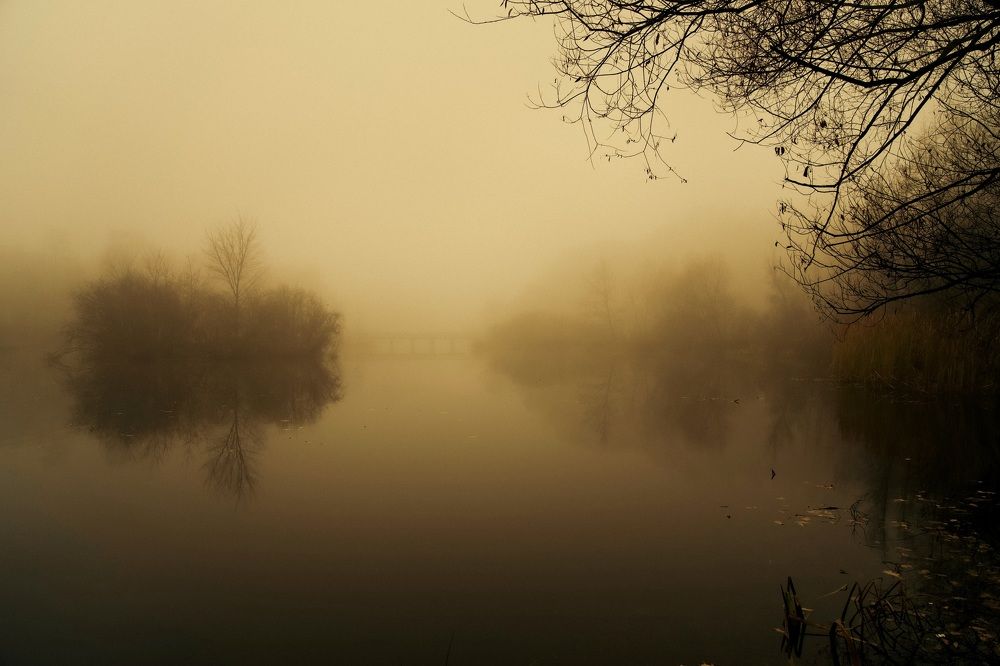 Photograph by Алексей Шевченко