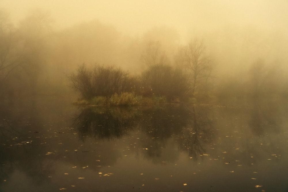 Photograph by Алексей Шевченко