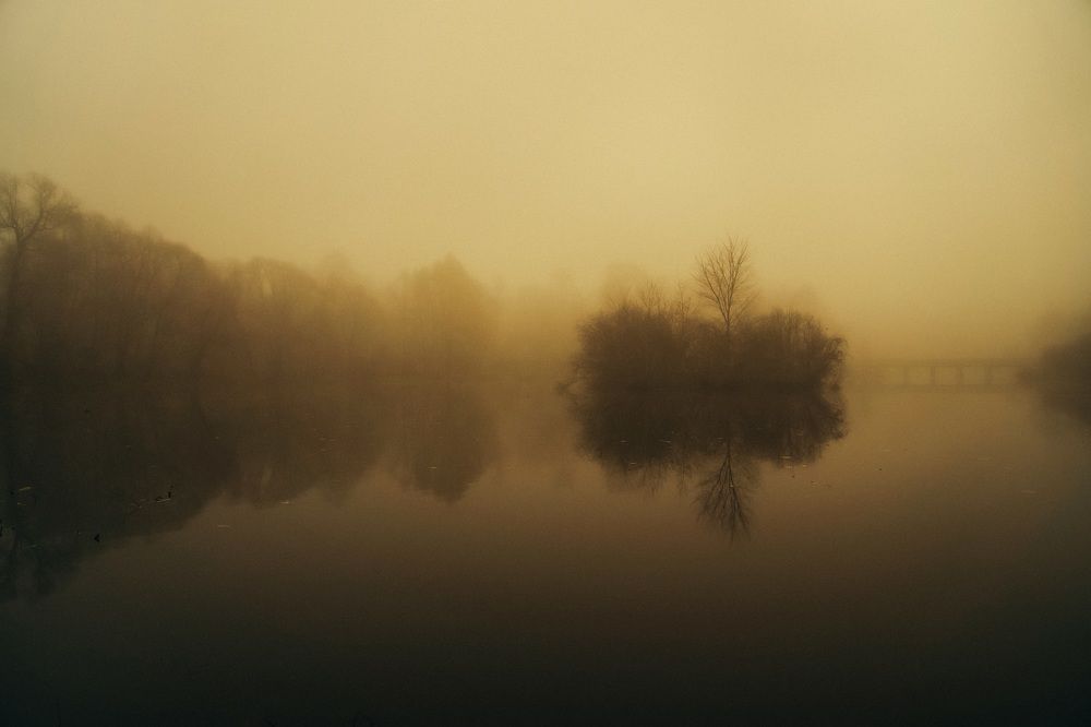 Photograph by Алексей Шевченко