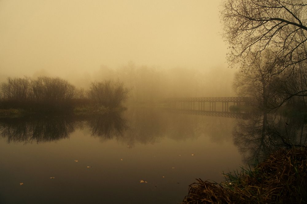 Photograph by Алексей Шевченко