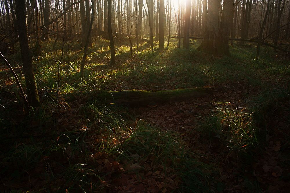 Photograph by Yroslava Veretina