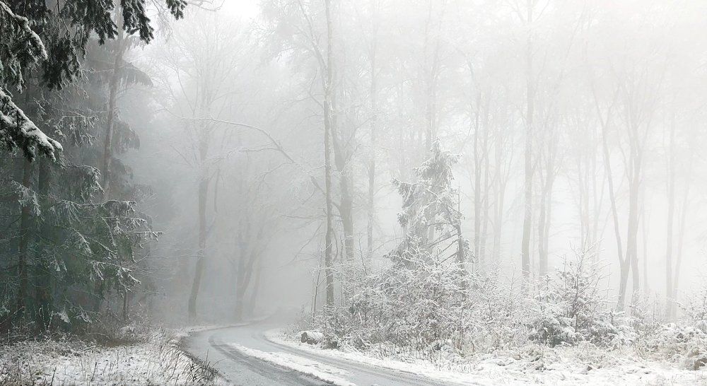 Туманы декабря