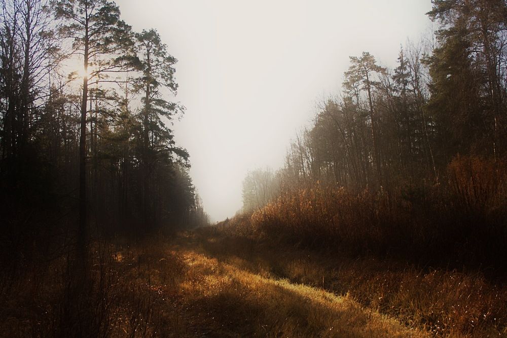 Photograph by Yroslava Veretina