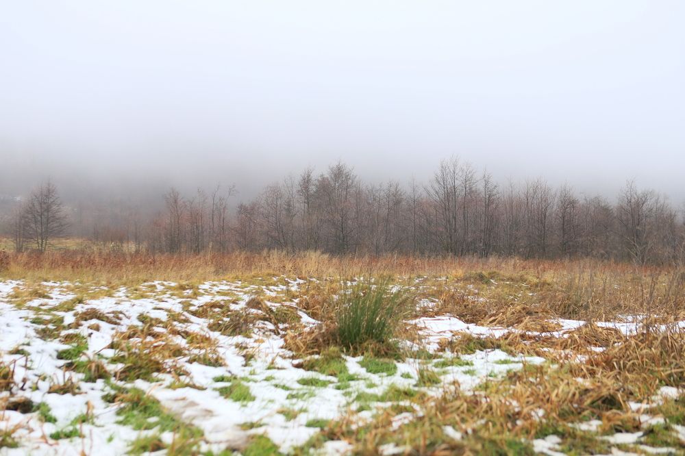 Photograph by Андрей Телибаев