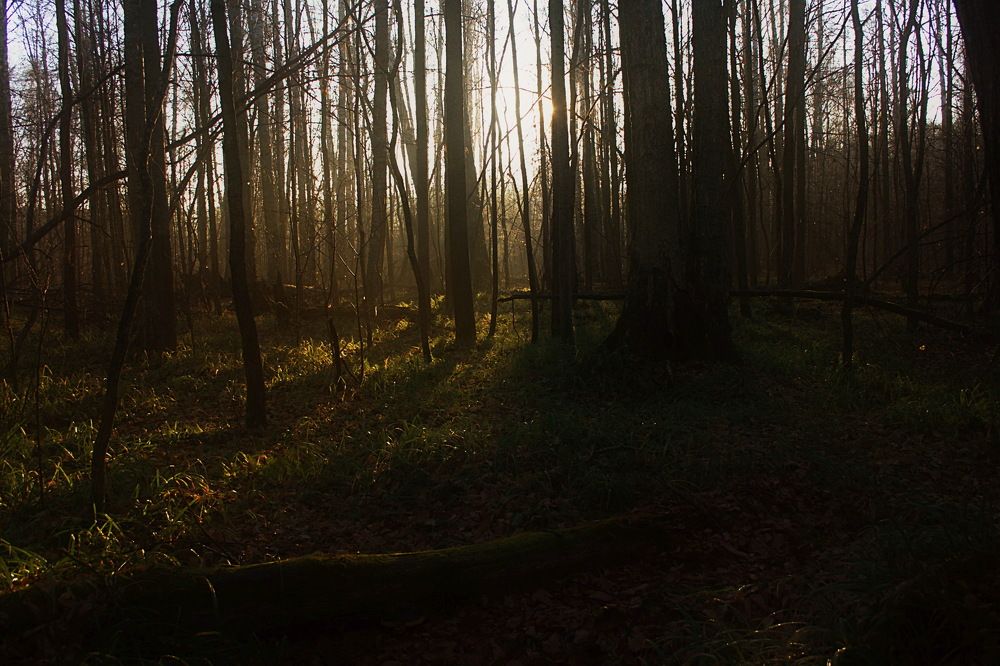 Photograph by Yroslava Veretina