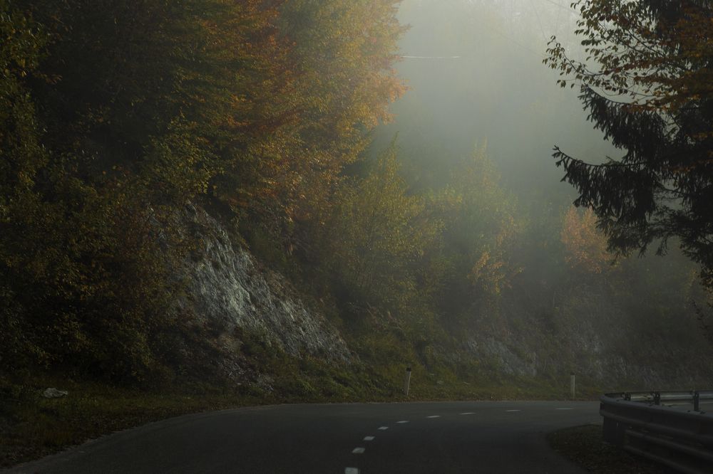 Фотография автора Оксана Мерзликина