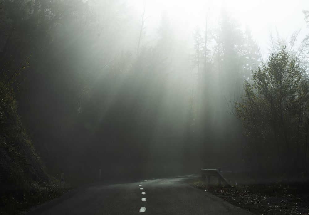 Фотография автора Оксана Мерзликина