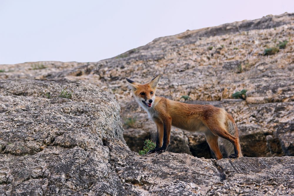 Photograph by Сергей Иванов