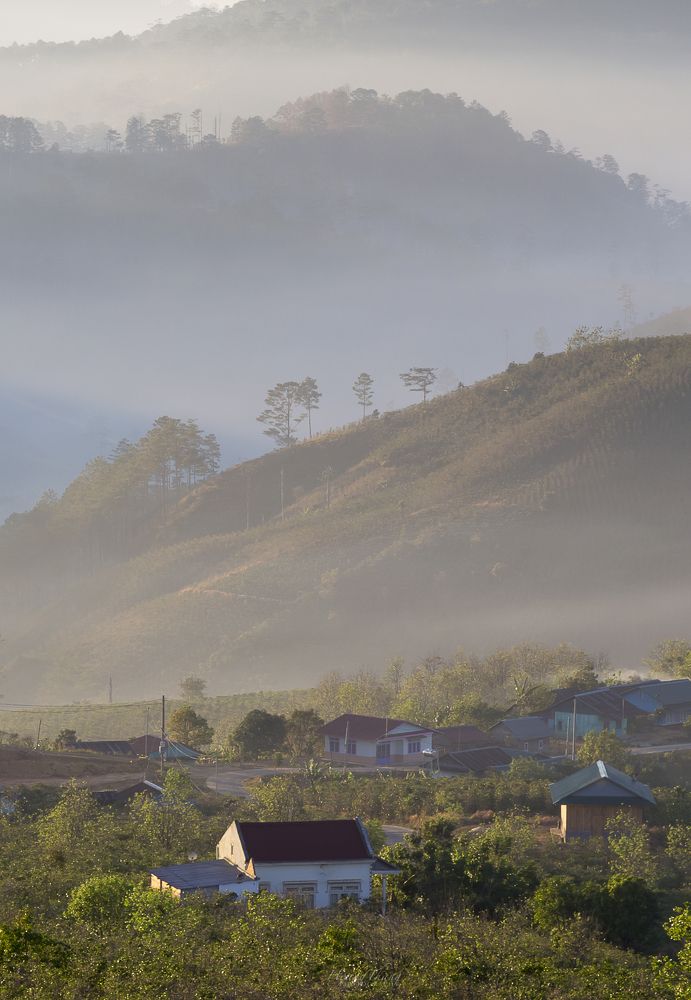 Sương sớm Đà Lạt