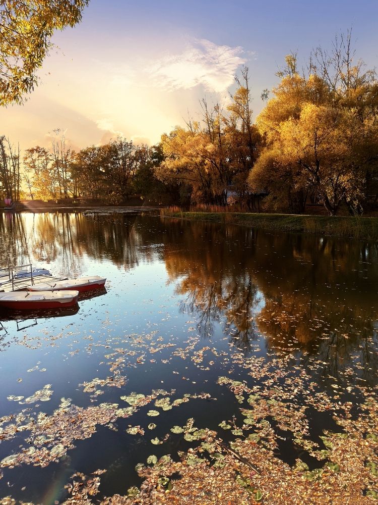 Photograph by Максим Лапин