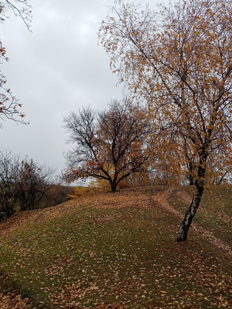 Photo #6681860