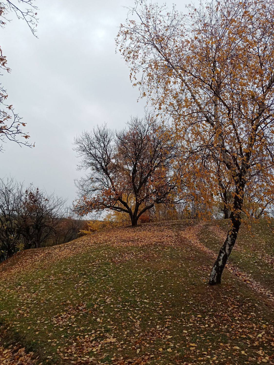 Photo #6681860