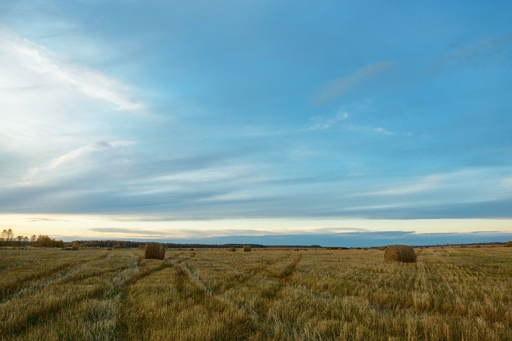 Фотография автора Кирилл Сизов