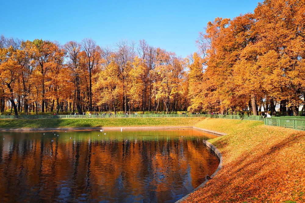 Photograph by Татьяна Бравая