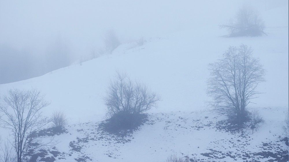 Photograph by Андрей Телибаев