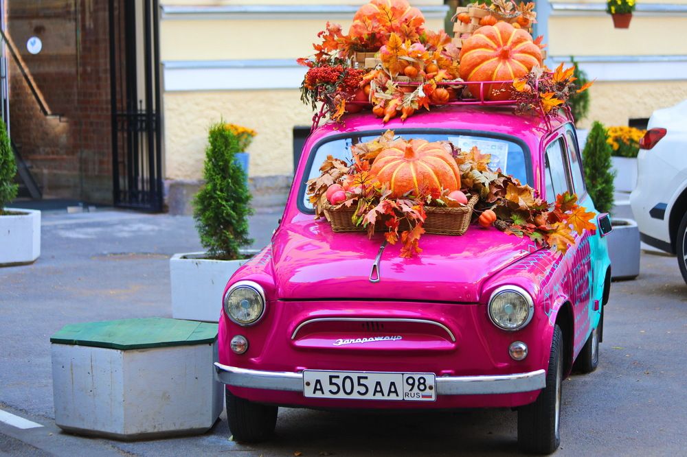 Яркий и раритетный.