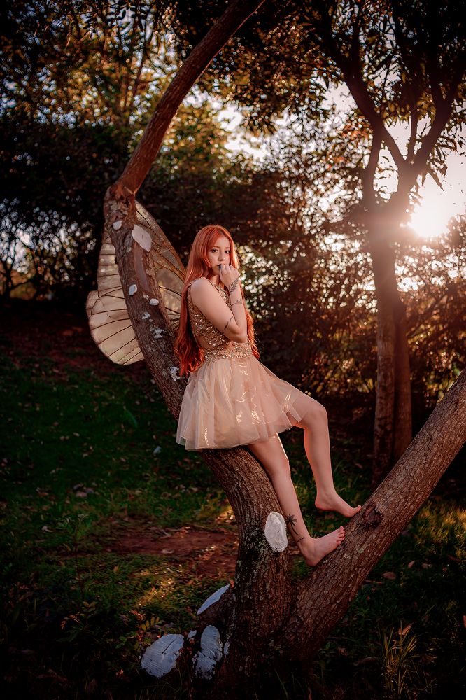 Фотография автора Jean Carlo Zickwolf Belato