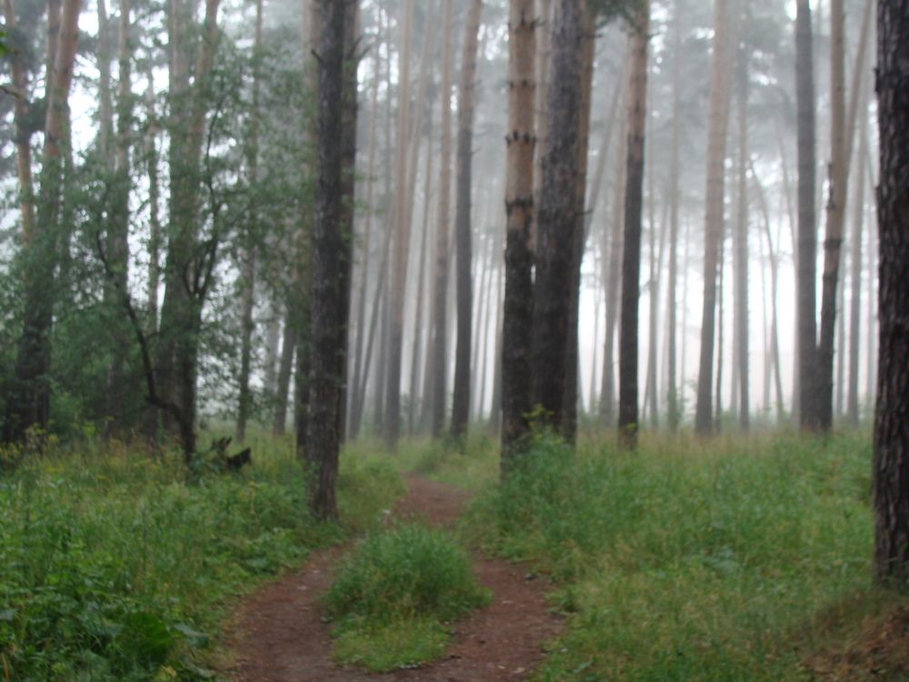 Photograph by Николай Худяков